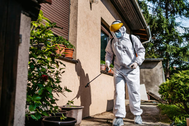 Best Termite Control Services  in Bristow, OK