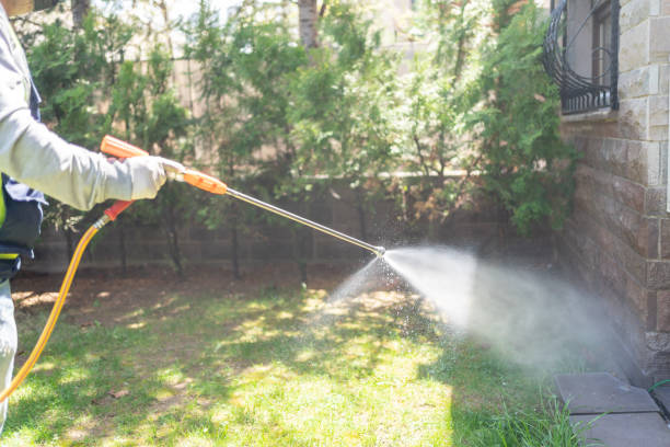 Best Ant Control Services  in Bristow, OK