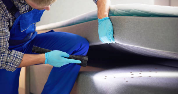 Best Flea Control Services  in Bristow, OK