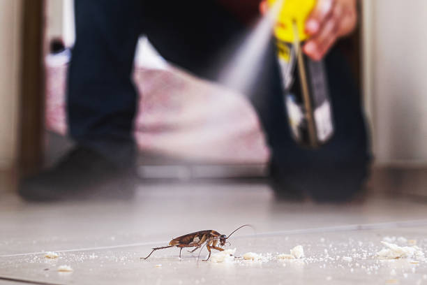 Best Commercial Pest Control Services  in Bristow, OK