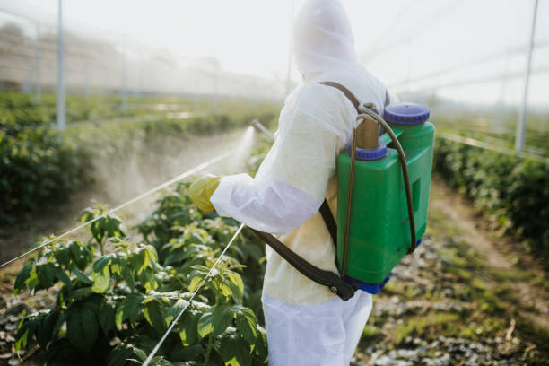 Best Mosquito Control Services  in Bristow, OK